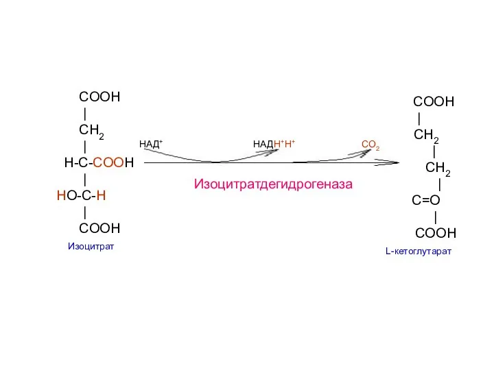 COOH | CH2 | H-C-COOH | HO-C-H | COOH Изоцитрат COOH