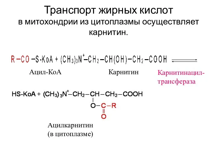 Транспорт жирных кислот в митохондрии из цитоплазмы осуществляет карнитин. Ацил-КоА Карнитин Ацилкарнитин (в цитоплазме) Карнитинацил- трансфераза