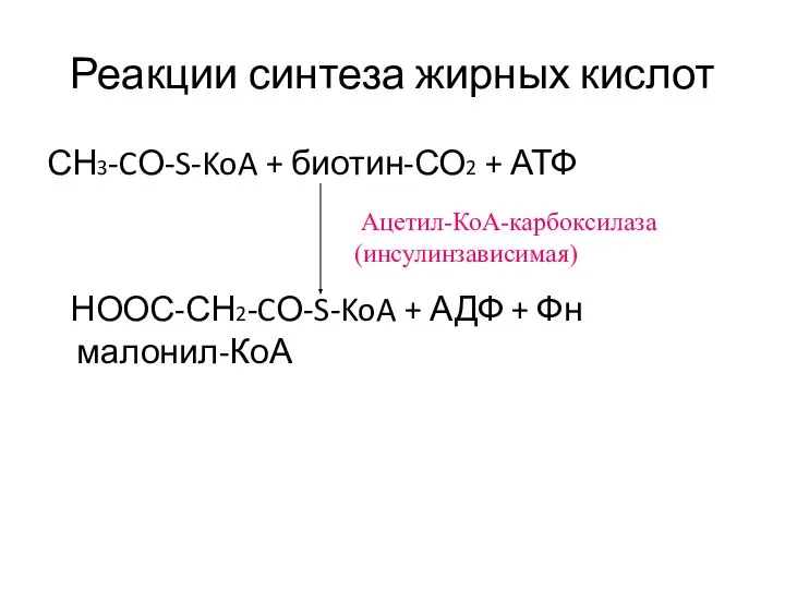 Реакции синтеза жирных кислот СН3-CО-S-KoA + биотин-СО2 + АТФ НООС-СН2-CО-S-KoA +