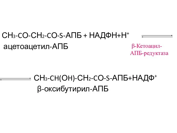 СН3-CО-СН2-CО-S-АПБ + НАДФН+Н+ ацетоацетил-АПБ СН3-CH(ОH)-СН2-CО-S-АПБ+НАДФ+ β-оксибутирил-АПБ β-Кетоацил- АПБ-редуктаза