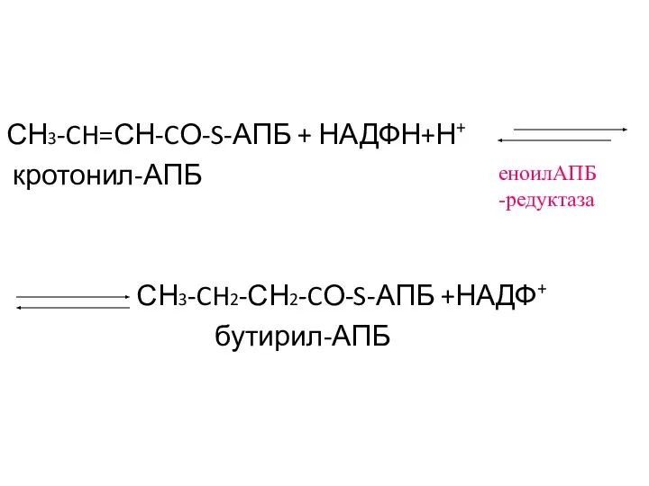 СН3-CH=СН-CО-S-АПБ + НАДФН+Н+ кротонил-АПБ СН3-CH2-СН2-CО-S-АПБ +НАДФ+ бутирил-АПБ еноилАПБ -редуктаза