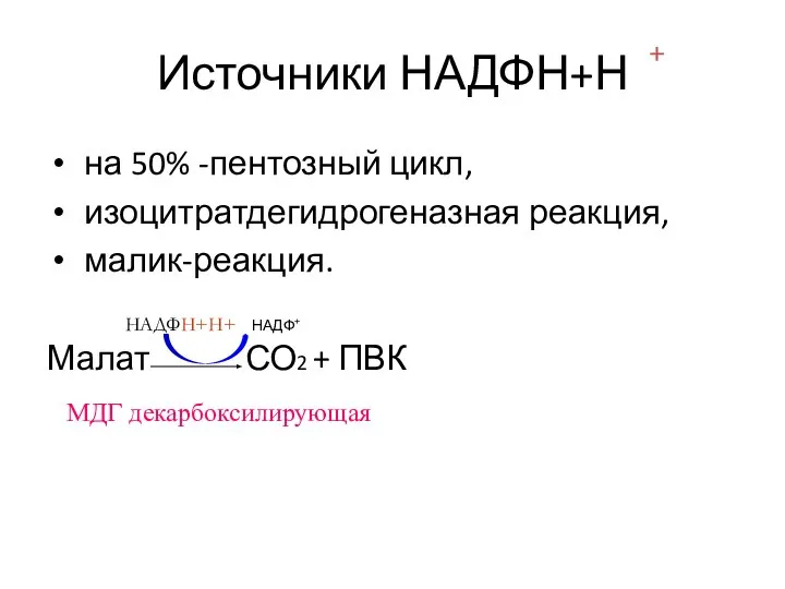 Источники НАДФН+Н на 50% -пентозный цикл, изоцитратдегидрогеназная реакция, малик-реакция. Малат СО2