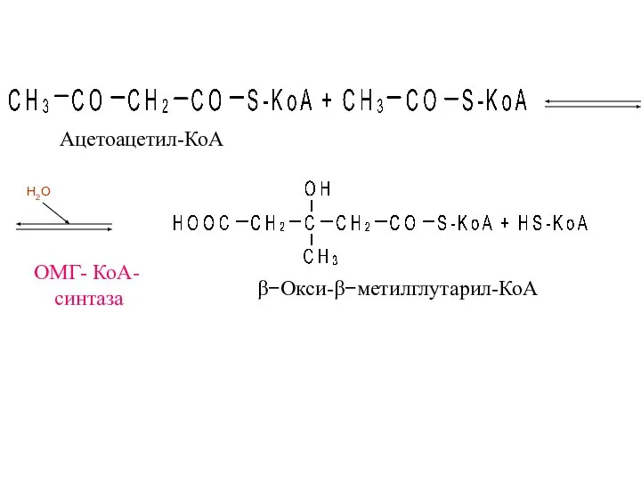 ОМГ- КоА- синтаза β−Окси-β−метилглутарил-КоА Ацетоацетил-КоА H2O