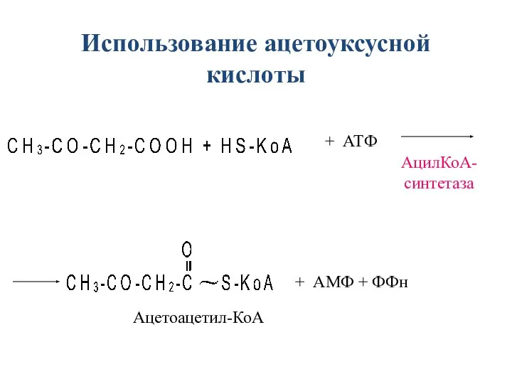 + АТФ + АМФ + ФФн Ацетоацетил-КоА АцилКоА- синтетаза Использование ацетоуксусной кислоты