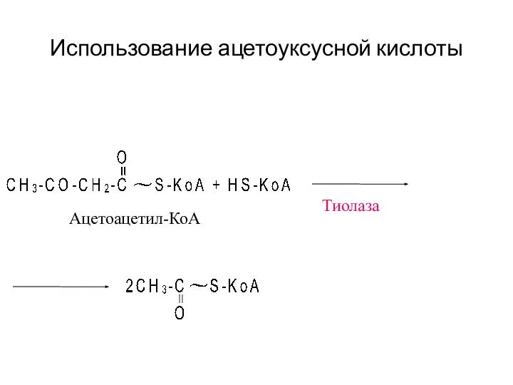 Использование ацетоуксусной кислоты Тиолаза Ацетоацетил-КоА