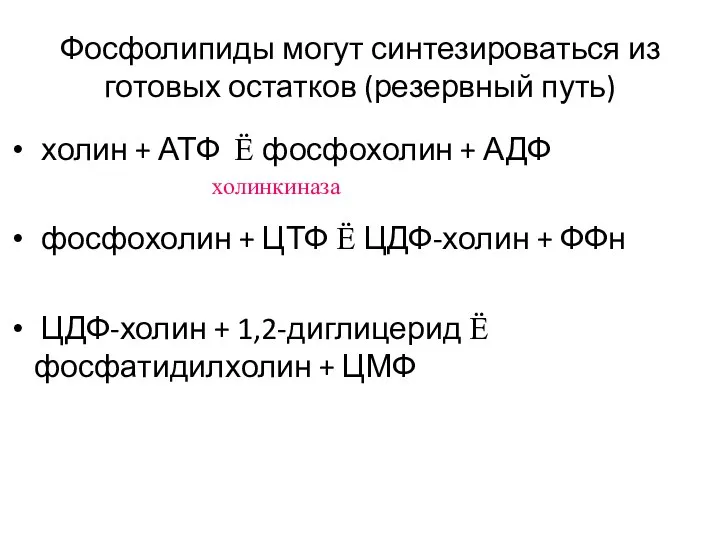 Фосфолипиды могут синтезироваться из готовых остатков (резервный путь) холин + АТФ