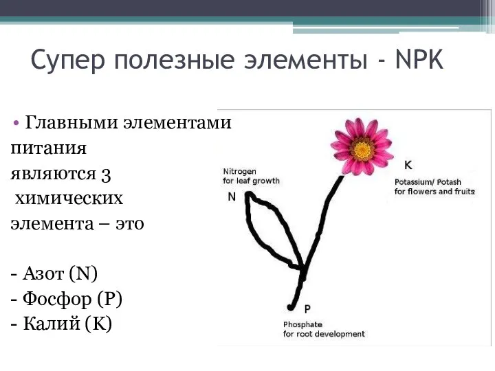 Супер полезные элементы - NPK Главными элементами питания являются 3 химических