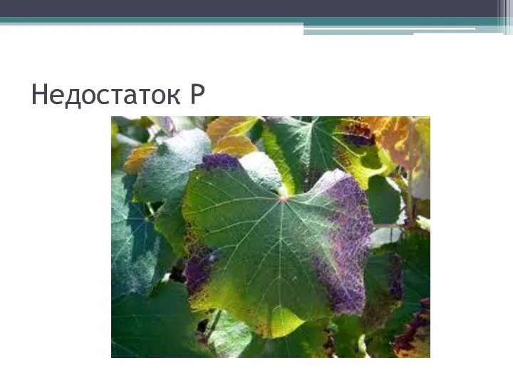 Недостаток P