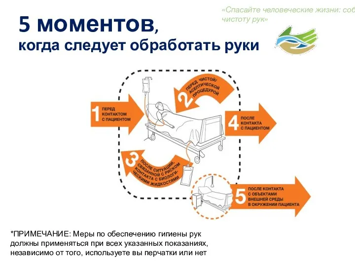 5 моментов, когда следует обработать руки «Спасайте человеческие жизни: соблюдайте чистоту