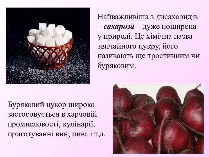 Найважливіша з дисахаридів – сахароза – дуже поширена у природі. Це