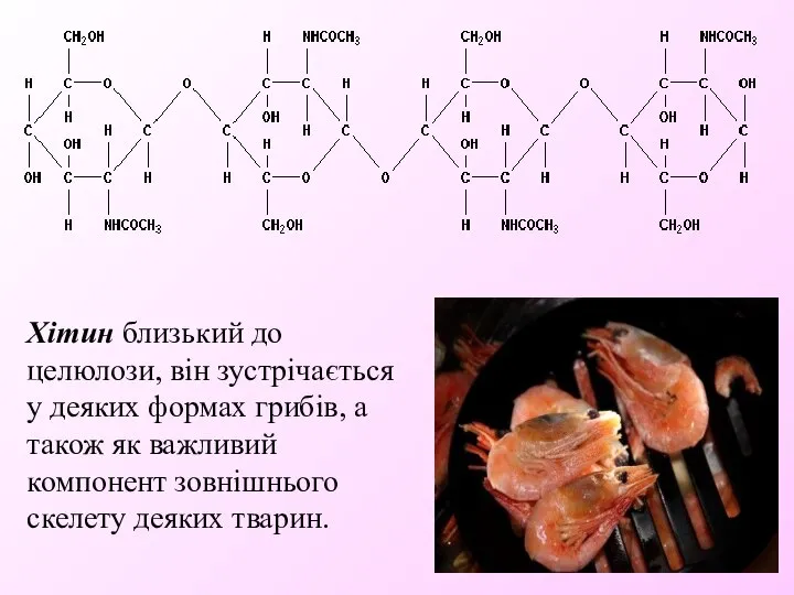 Хітин близький до целюлози, він зустрічається у деяких формах грибів, а