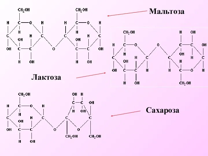 Мальтоза Лактоза Сахароза