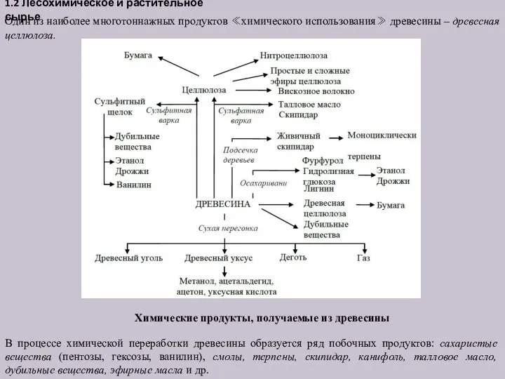 1.2 Лесохимическое и растительное сырье Один из наиболее многотоннажных продуктов ≪химического