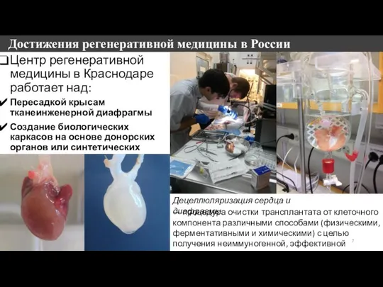 Достижения регенеративной медицины в России Центр регенеративной медицины в Краснодаре работает