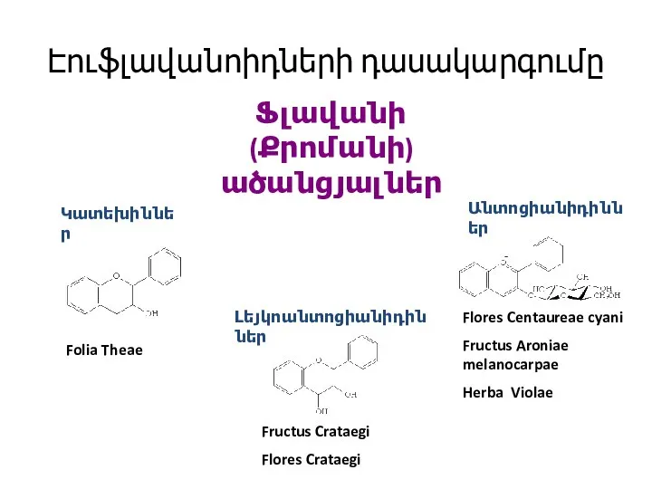 Էուֆլավանոիդների դասակարգումը Ֆլավանի (Քրոմանի) ածանցյալներ Կատեխիններ Լեյկոանտոցիանիդիններ Անտոցիանիդիններ Folia Theae Fructus