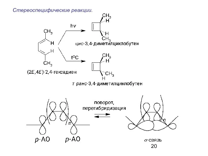 Стереоспецифические реакции.