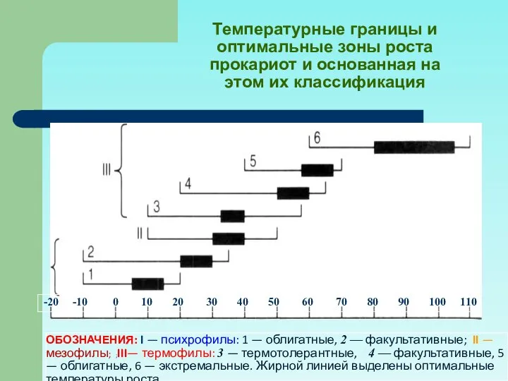 Температурные границы и оптимальные зоны роста прокариот и основанная на этом их классификация