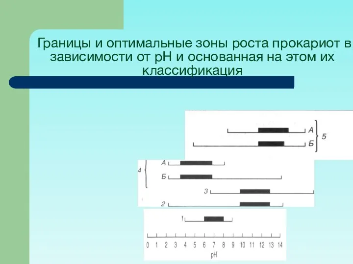 Границы и оптимальные зоны роста прокариот в зависимости от рН и основанная на этом их классификация