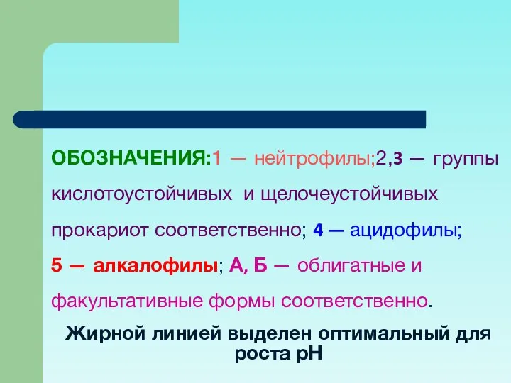 ОБОЗНАЧЕНИЯ:1 — нейтрофилы;2,3 — группы кислотоустойчивых и щелочеустойчивых прокариот соответственно; 4