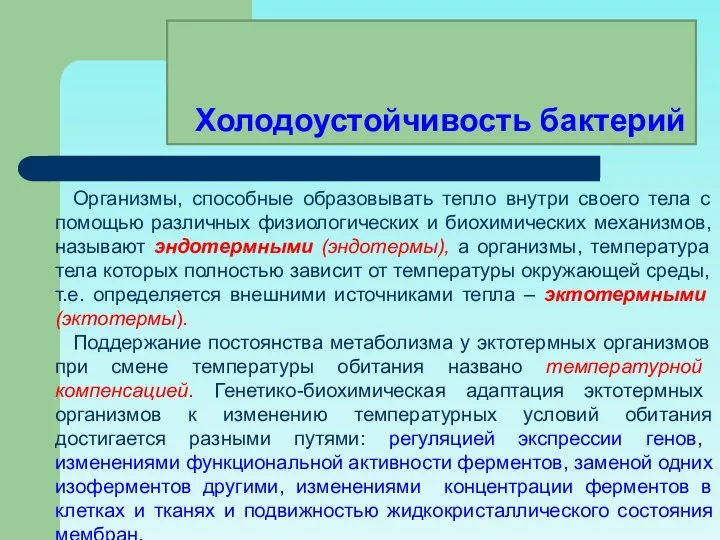 Организмы, способные образовывать тепло внутри своего тела с помощью различных физиологических