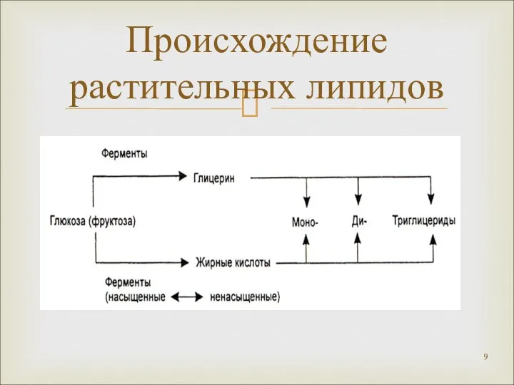 Происхождение растительных липидов