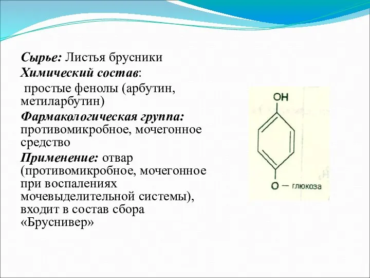 Сырье: Листья брусники Химический состав: простые фенолы (арбутин, метиларбутин) Фармакологическая группа: