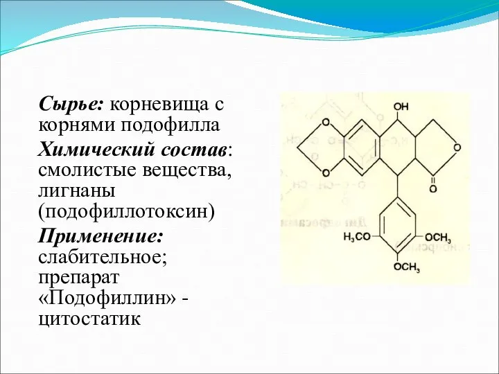 Сырье: корневища c корнями подофилла Химический состав: смолистые вещества, лигнаны (подофиллотоксин)