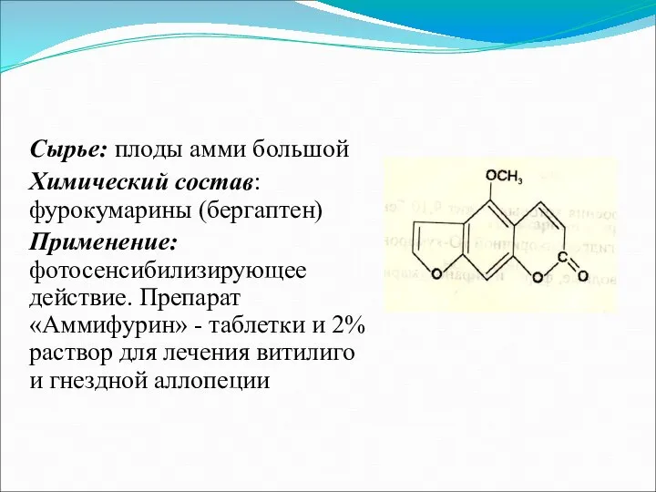 Сырье: плоды амми большой Химический состав: фурокумарины (бергаптен) Применение: фотосенсибилизирующее действие.