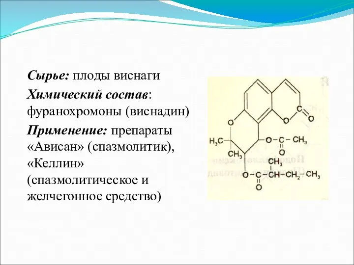 Сырье: плоды виснаги Химический состав: фуранохромоны (виснадин) Применение: препараты «Ависан» (спазмолитик), «Келлин» (спазмолитическое и желчегонное средство)