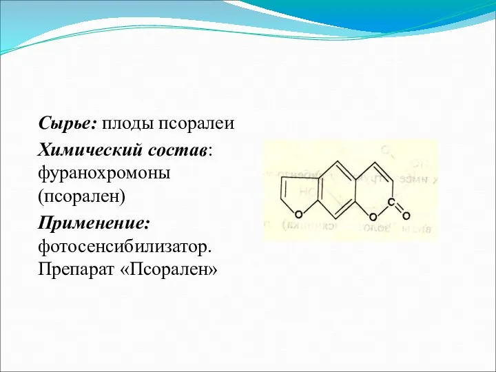 Сырье: плоды псоралеи Химический состав: фуранохромоны (псорален) Применение: фотосенсибилизатор. Препарат «Псорален»