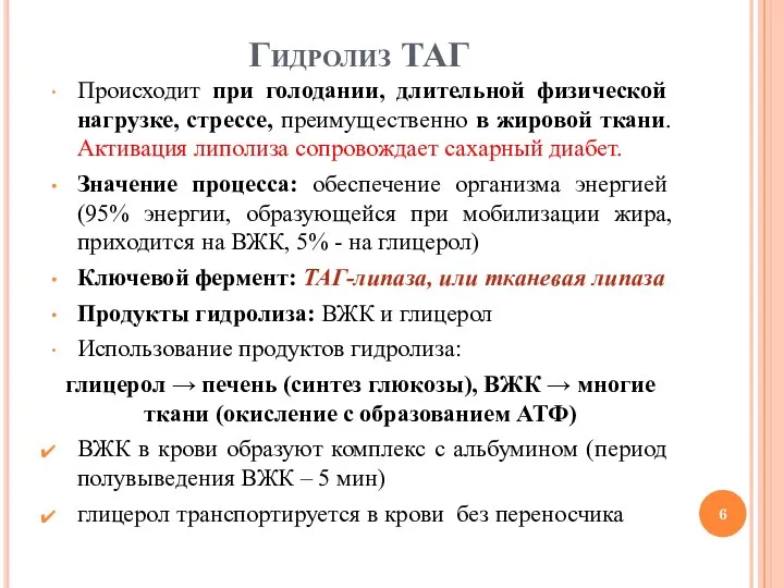 Гидролиз ТАГ Происходит при голодании, длительной физической нагрузке, стрессе, преимущественно в