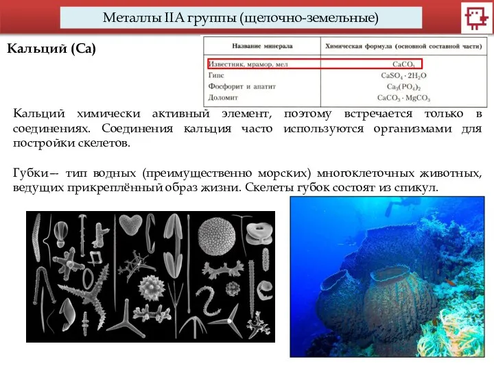 Металлы IIA группы (щелочно-земельные) Кальций (Са) Кальций химически активный элемент, поэтому