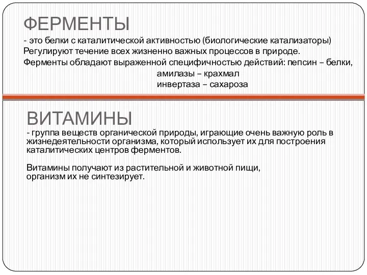 ФЕРМЕНТЫ - это белки с каталитической активностью (биологические катализаторы) Регулируют течение