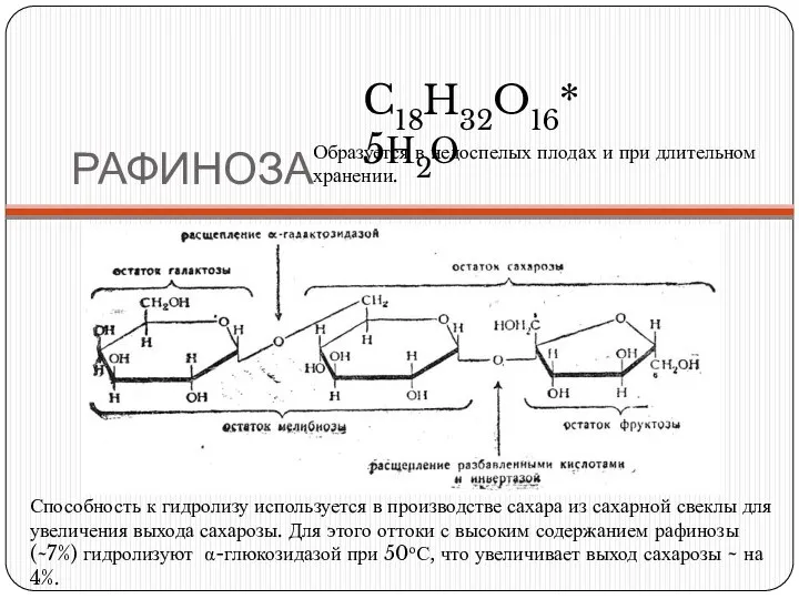 РАФИНОЗА C18H32O16* 5Н2О Образуется в недоспелых плодах и при длительном хранении.