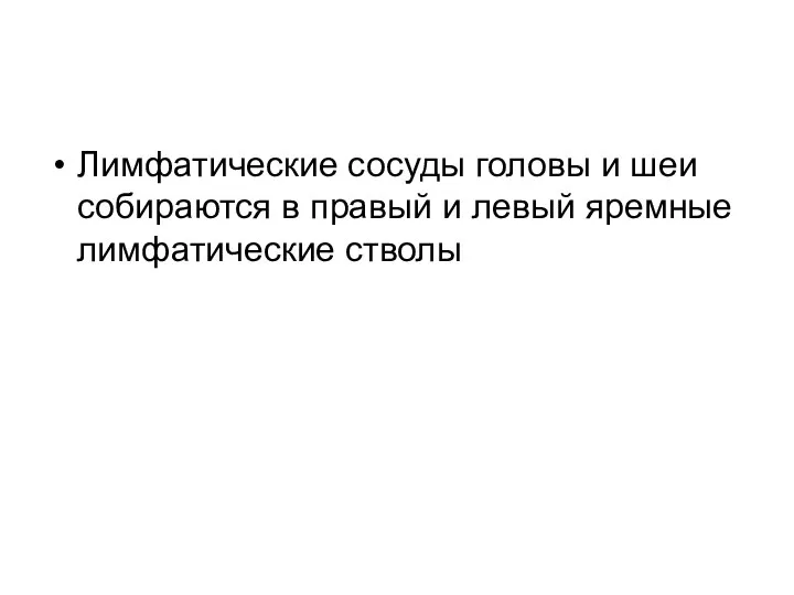 Лимфатические сосуды головы и шеи собираются в правый и левый яремные лимфатические стволы