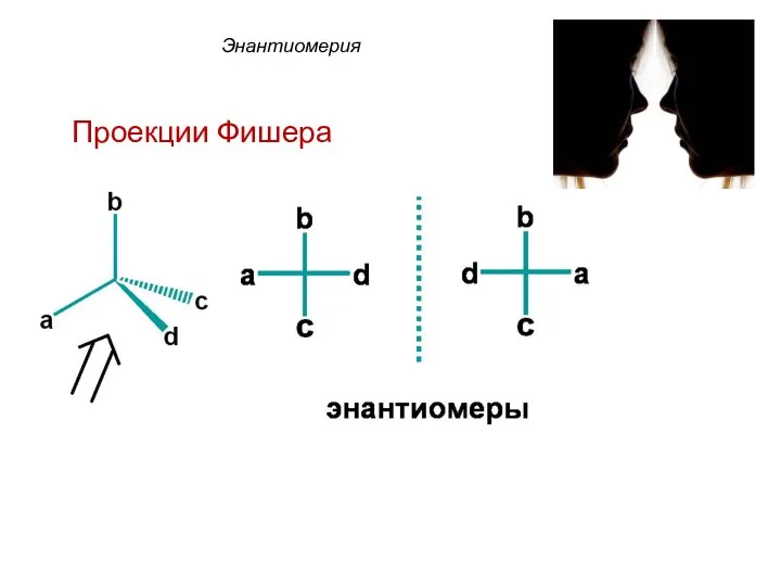 Энантиомерия Проекции Фишера