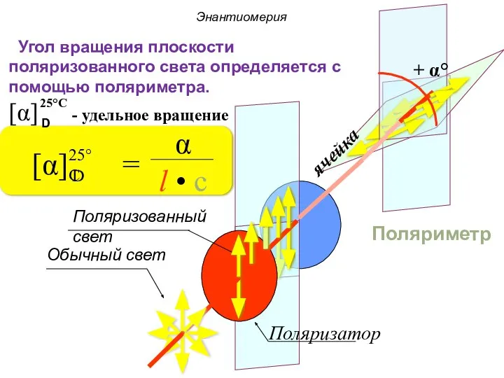 ячейка Поляриметр Угол вращения плоскости поляризованного света определяется с помощью поляриметра.