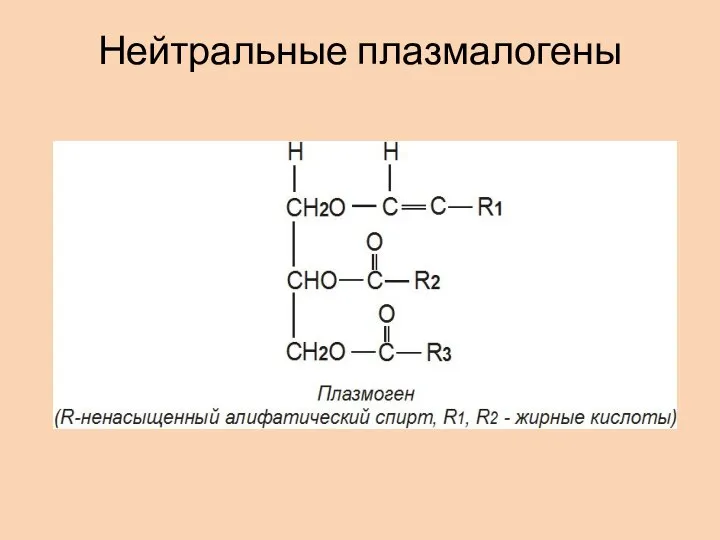 Нейтральные плазмалогены