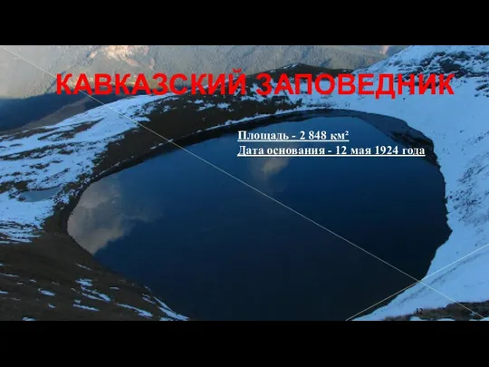 КАВКАЗСКИЙ ЗАПОВЕДНИК Площадь - 2 848 км² Дата основания - 12 мая 1924 года