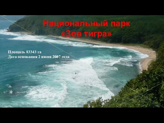 Национальный парк «Зов тигра» Площадь 83343 га Дата основания 2 июня 2007 года