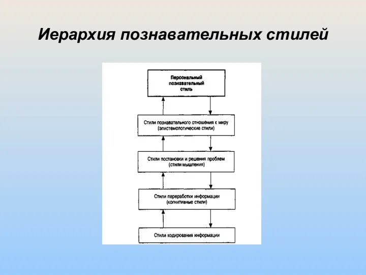 Иерархия познавательных стилей