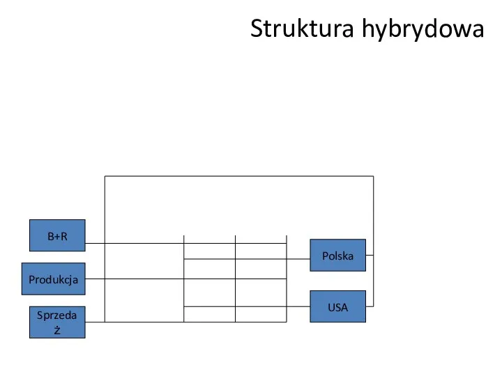 Struktura hybrydowa B+R Produkcja Sprzedaż USA Polska