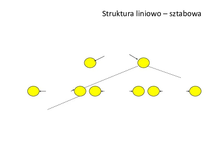 Struktura liniowo – sztabowa