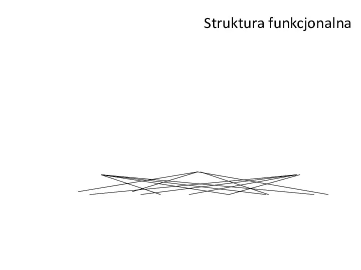 Struktura funkcjonalna