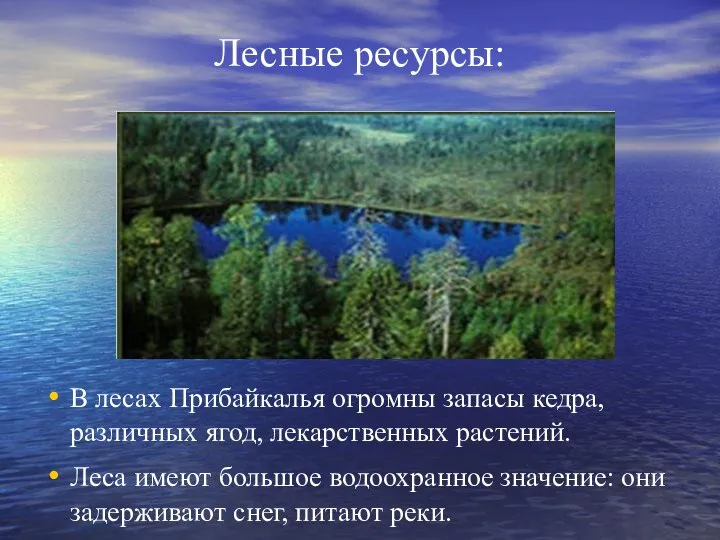 Лесные ресурсы: В лесах Прибайкалья огромны запасы кедра, различных ягод, лекарственных