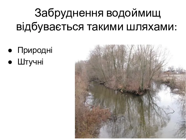 Забруднення водоймищ відбувається такими шляхами: Природні Штучні