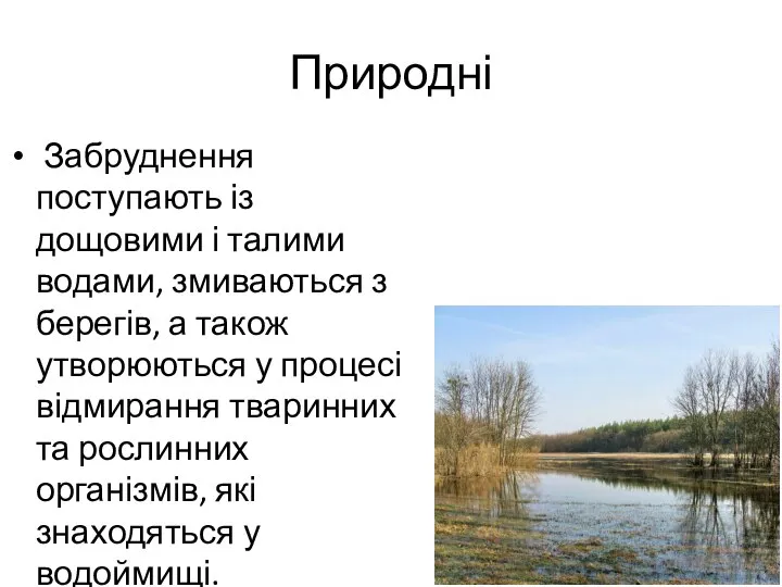 Природні Забруднення поступають із дощовими і талими водами, змиваються з берегів,