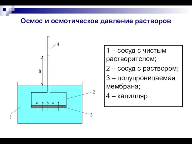 Осмос и осмотическое давление растворов