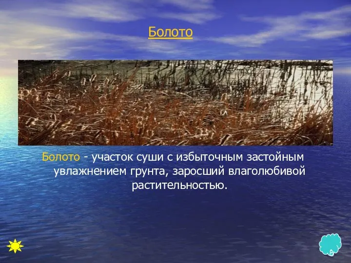 Болото Болото - участок суши с избыточным застойным увлажнением грунта, заросший влаголюбивой растительностью.