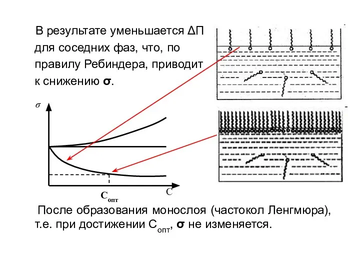 В результате уменьшается ΔП для соседних фаз, что, по правилу Ребиндера,